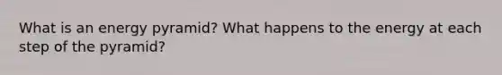 What is an energy pyramid? What happens to the energy at each step of the pyramid?