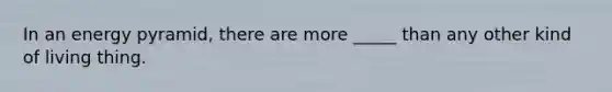 In an energy pyramid, there are more _____ than any other kind of living thing.