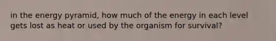 in the energy pyramid, how much of the energy in each level gets lost as heat or used by the organism for survival?