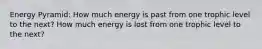 Energy Pyramid: How much energy is past from one trophic level to the next? How much energy is lost from one trophic level to the next?