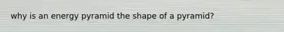 why is an energy pyramid the shape of a pyramid?