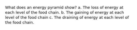What does an energy pyramid show? a. The loss of energy at each level of the food chain. b. The gaining of energy at each level of the food chain c. The draining of energy at each level of the food chain.