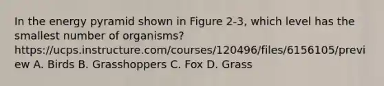 In the energy pyramid shown in Figure 2-3, which level has the smallest number of organisms? https://ucps.instructure.com/courses/120496/files/6156105/preview A. Birds B. Grasshoppers C. Fox D. Grass