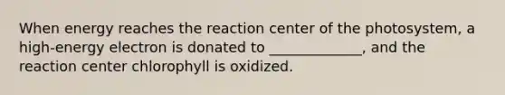 When energy reaches the reaction center of the photosystem, a high-energy electron is donated to _____________, and the reaction center chlorophyll is oxidized.