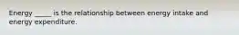 Energy _____ is the relationship between energy intake and energy expenditure.