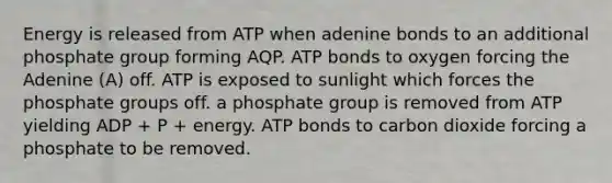 Energy is released from ATP when adenine bonds to an additional phosphate group forming AQP. ATP bonds to oxygen forcing the Adenine (A) off. ATP is exposed to sunlight which forces the phosphate groups off. a phosphate group is removed from ATP yielding ADP + P + energy. ATP bonds to carbon dioxide forcing a phosphate to be removed.