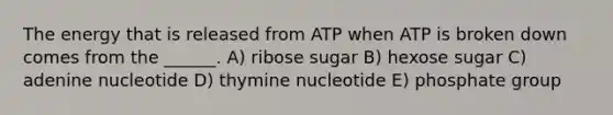 The energy that is released from ATP when ATP is broken down comes from the ______. A) ribose sugar B) hexose sugar C) adenine nucleotide D) thymine nucleotide E) phosphate group