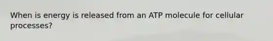 When is energy is released from an ATP molecule for cellular processes?