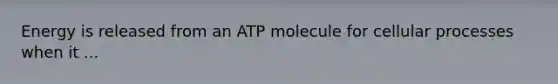 Energy is released from an ATP molecule for cellular processes when it ...