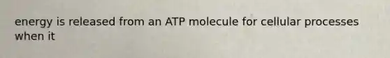 energy is released from an ATP molecule for cellular processes when it