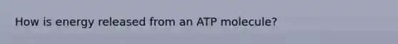 How is energy released from an ATP molecule?