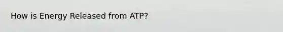 How is Energy Released from ATP?