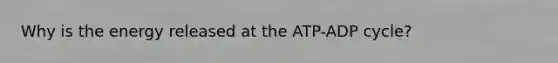 Why is the energy released at the ATP-ADP cycle?