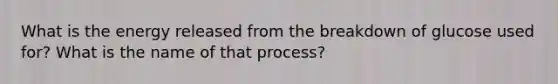 What is the energy released from the breakdown of glucose used for? What is the name of that process?