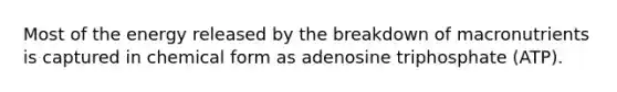 Most of the energy released by the breakdown of macronutrients is captured in chemical form as adenosine triphosphate (ATP).