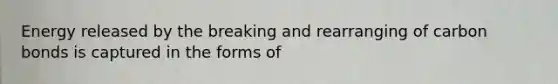 Energy released by the breaking and rearranging of carbon bonds is captured in the forms of