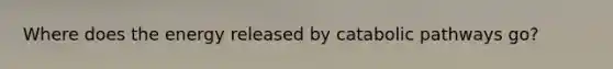 Where does the energy released by catabolic pathways go?