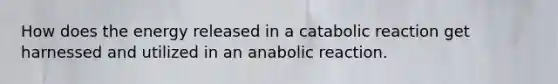 How does the energy released in a catabolic reaction get harnessed and utilized in an anabolic reaction.