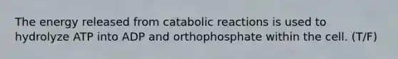 The energy released from catabolic reactions is used to hydrolyze ATP into ADP and orthophosphate within the cell. (T/F)