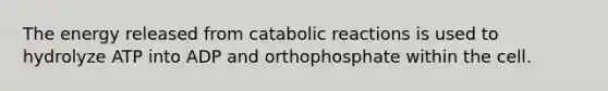 The energy released from catabolic reactions is used to hydrolyze ATP into ADP and orthophosphate within the cell.