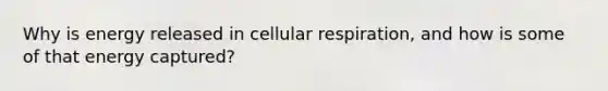 Why is energy released in cellular respiration, and how is some of that energy captured?