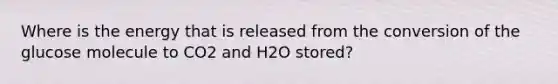 Where is the energy that is released from the conversion of the glucose molecule to CO2 and H2O stored?