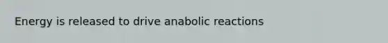 Energy is released to drive anabolic reactions