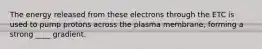 The energy released from these electrons through the ETC is used to pump protons across the plasma membrane, forming a strong ____ gradient.