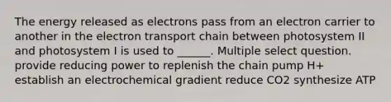 The energy released as electrons pass from an electron carrier to another in the electron transport chain between photosystem II and photosystem I is used to ______. Multiple select question. provide reducing power to replenish the chain pump H+ establish an electrochemical gradient reduce CO2 synthesize ATP