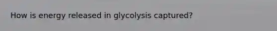 How is energy released in glycolysis captured?