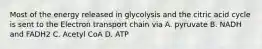 Most of the energy released in glycolysis and the citric acid cycle is sent to the Electron transport chain via A. pyruvate B. NADH and FADH2 C. Acetyl CoA D. ATP