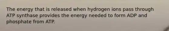 The energy that is released when hydrogen ions pass through ATP synthase provides the energy needed to form ADP and phosphate from ATP.