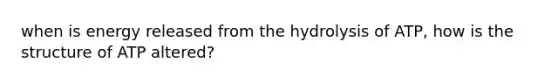 when is energy released from the hydrolysis of ATP, how is the structure of ATP altered?