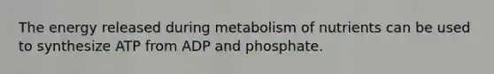 The energy released during metabolism of nutrients can be used to synthesize ATP from ADP and phosphate.