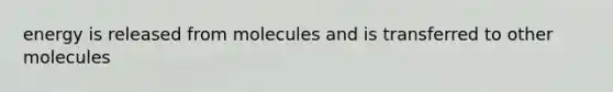 energy is released from molecules and is transferred to other molecules