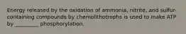 Energy released by the oxidation of ammonia, nitrite, and sulfur-containing compounds by chemolithotrophs is used to make ATP by _________ phosphorylation.