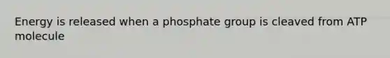 Energy is released when a phosphate group is cleaved from ATP molecule