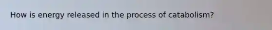 How is energy released in the process of catabolism?