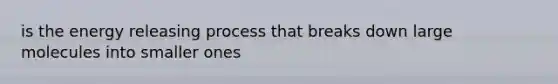 is the energy releasing process that breaks down large molecules into smaller ones