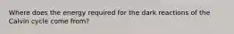 Where does the energy required for the dark reactions of the Calvin cycle come from?