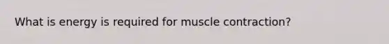 What is energy is required for muscle contraction?