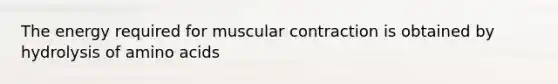 The energy required for muscular contraction is obtained by hydrolysis of amino acids