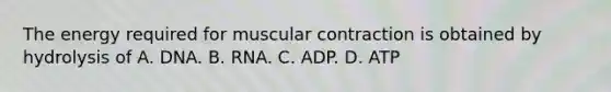 The energy required for muscular contraction is obtained by hydrolysis of A. DNA. B. RNA. C. ADP. D. ATP