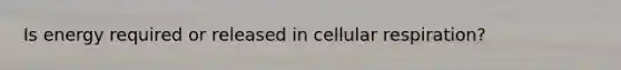 Is energy required or released in cellular respiration?