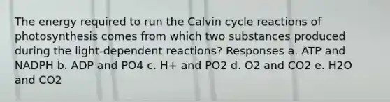 The energy required to run the Calvin cycle reactions of photosynthesis comes from which two substances produced during the light-dependent reactions? Responses a. ATP and NADPH b. ADP and PO4 c. H+ and PO2 d. O2 and CO2 e. H2O and CO2