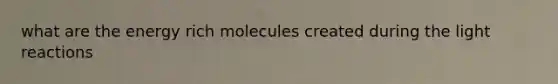 what are the energy rich molecules created during the light reactions