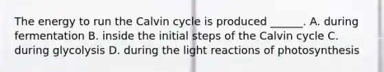 The energy to run the Calvin cycle is produced ______. A. during fermentation B. inside the initial steps of the Calvin cycle C. during glycolysis D. during the light reactions of photosynthesis