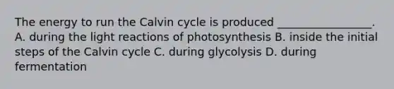 The energy to run the Calvin cycle is produced _________________. A. during the light reactions of photosynthesis B. inside the initial steps of the Calvin cycle C. during glycolysis D. during fermentation