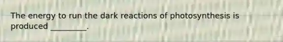 The energy to run the dark reactions of photosynthesis is produced _________.