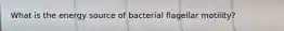 What is the energy source of bacterial flagellar motility?